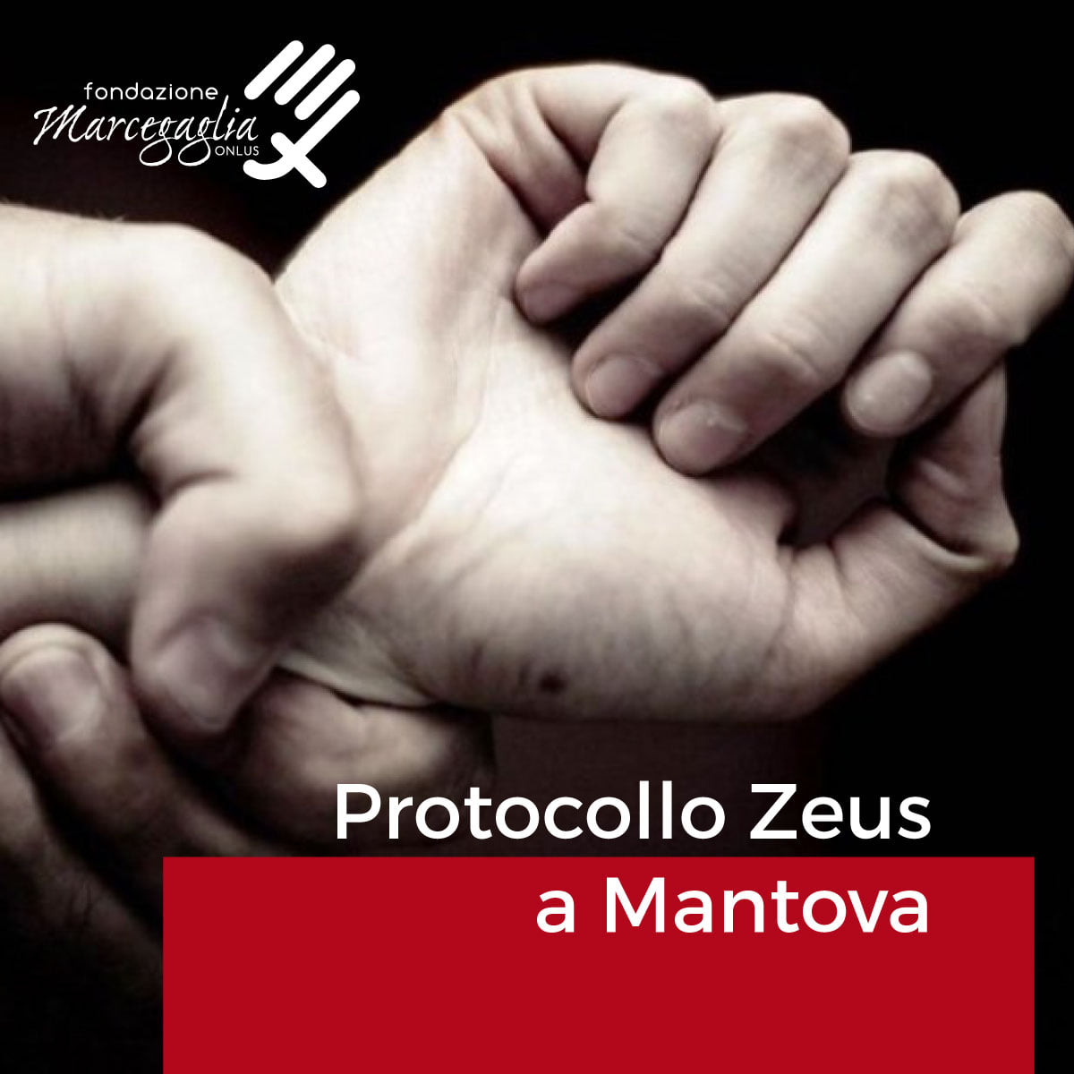 FONDAZIONE MARCEGAGLIA ONLUS: PROTOCOLLO ZEUS A MANTOVA